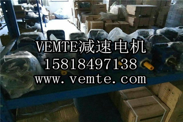 VEMT減速機(jī)電機(jī)制造廠(chǎng)家 (2)