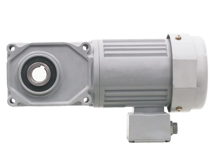 標(biāo)準(zhǔn)型直角中空減速電機(jī) 標(biāo)準(zhǔn)型直角中空減速電機(jī)